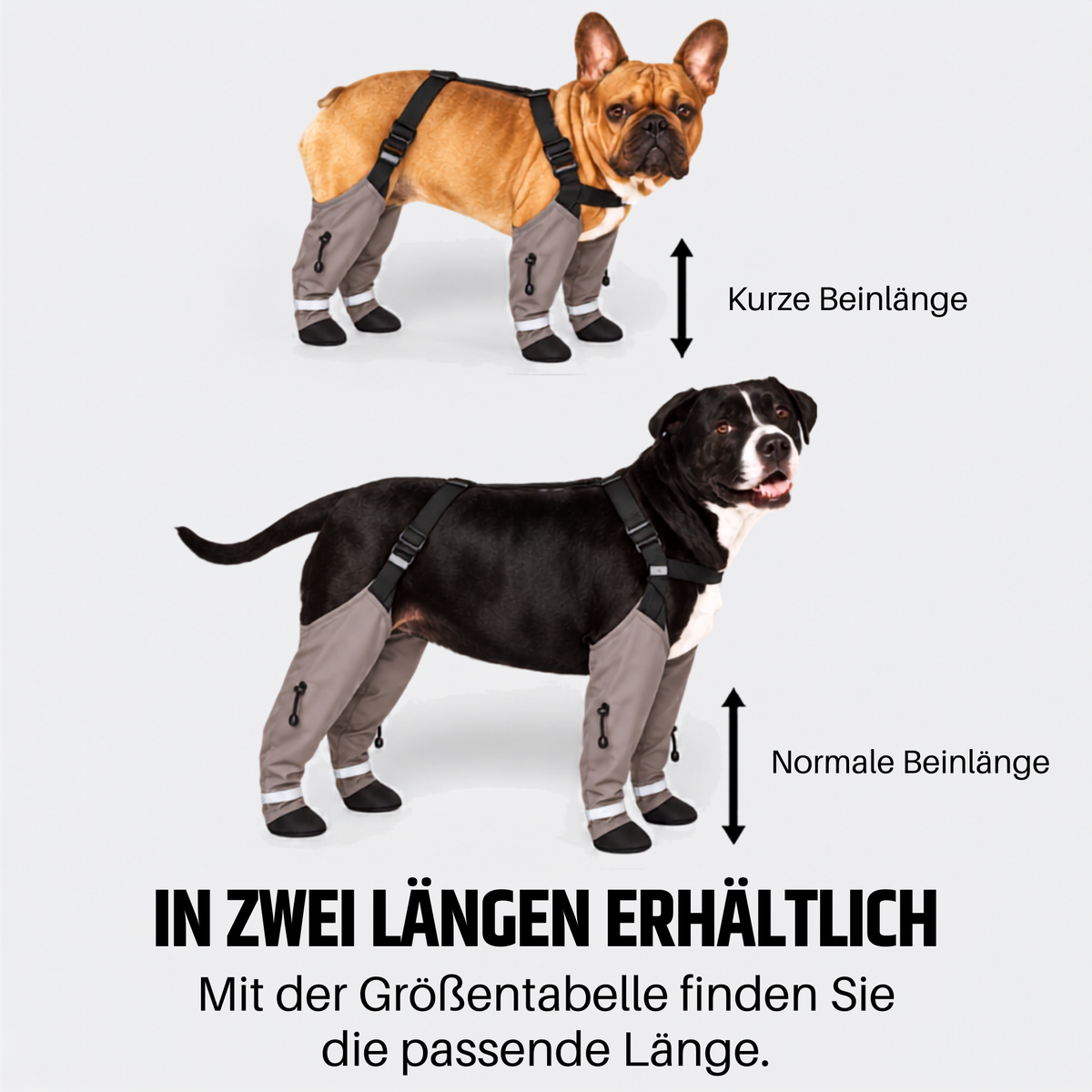 Vandro Pfoten – Pfotenschutz gegen Streusalz
